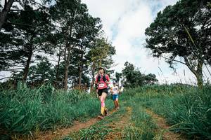 BIB: 
                            <button type="button" onclick="openModal(26034669)" class="btn btn-primary btn-sm float-right btn-popup" data-toggle="modal" data-target=".modal-high-quality">
                        <i class="fas fa-shopping-cart"></i> Add to Cart
                    </button>
                                            <button type="button" onclick="isThisMe(26034669, true)" class="btn btn-success btn-sm float-right btn-popup btn-isme hidden" data-toggle="tooltip" data-placement="bottom" title="นี่คือรูปของคุณใช่ไหม คลิกที่นี่เพื่อเอาเข้าอัลบั้ม">
                        <i class="fas fa-plus"></i> Add to album
                    </button>
                    <button type="button" onclick="isThisMe(26034669, false)" class="btn btn-warning btn-sm float-right btn-popup btn-isnotme hidden">
                        <i class="fas fa-ban"></i> Remove from album
                    </button>